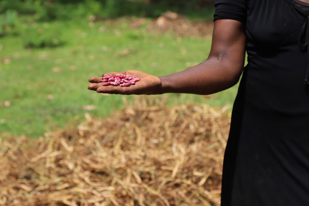 Agnes proudly holds a handful of freshly harvested beans fruits of restored soil and sustainable farming practices she now shares with others. 