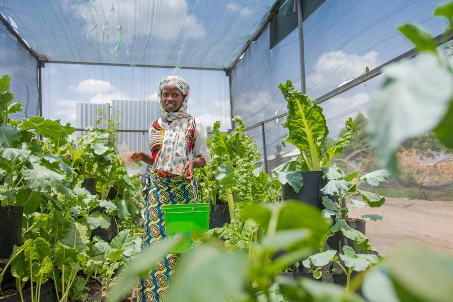 Refugee farming in Turkana