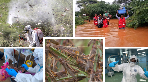 Kenya has gone through an unprecedented humanitarian crisis of COVID19, Floods and Locust invasion