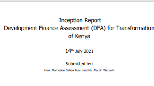 DFA Inception Report