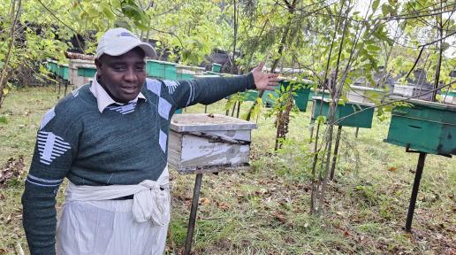 A Ndabibi farmer gestures towards his beehives, part of a growing movement using apiculture to restore Eburu Forest and support local livelihoods.